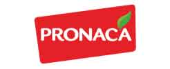 pronaca